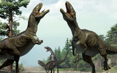 How do dinosaurs fit into the creation?
