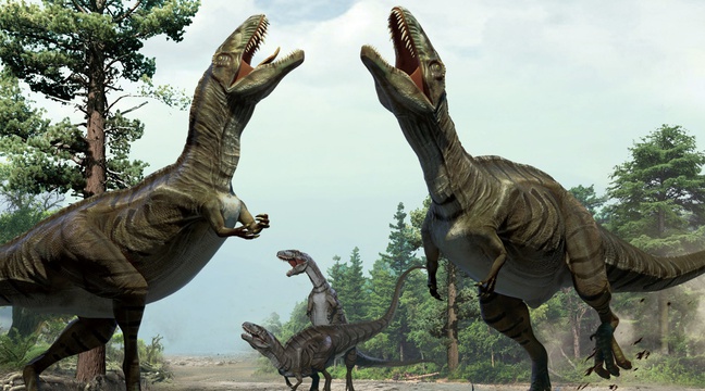 How do dinosaurs fit into the creation?