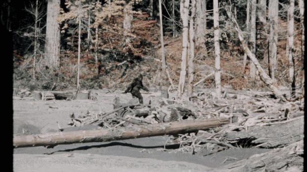 Does the Mormon Church have an official position on Bigfoot?