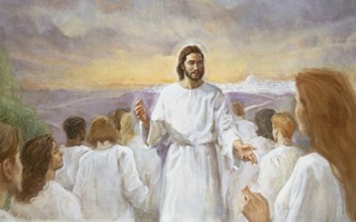 Does the Mormon church still teach that sealed husbands and wives will be able to beget spiritual children as Gods in the afterlife?