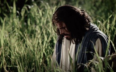 Why did the Savior live in mortality on this particular world?