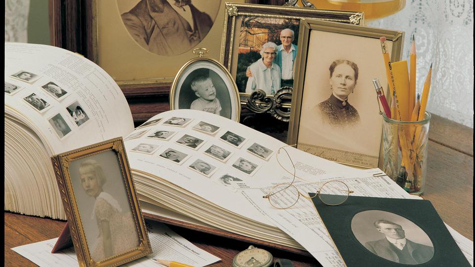 How would I report a genealogy error in the LDS records to the Mormon Church?