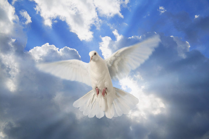 Holy Ghost in form of dove