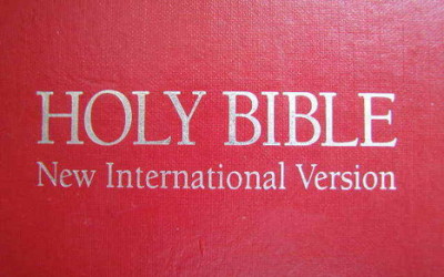 What are your thoughts on the updated NIV version of the Bible?