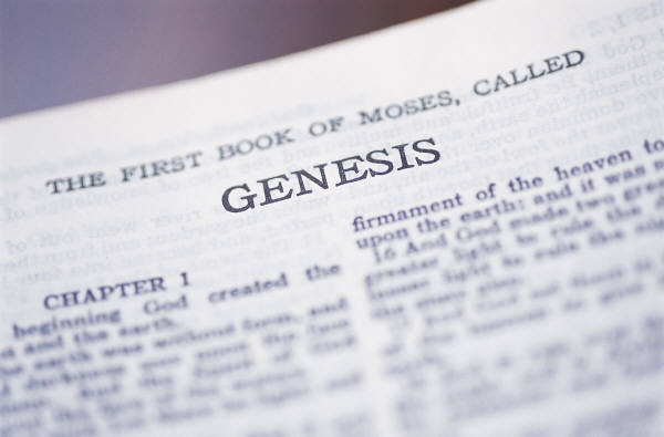 Genesis book bible