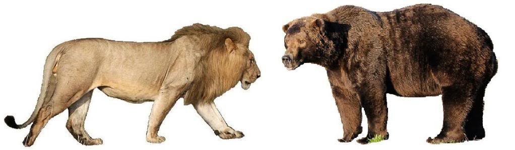 Can You Tell Me About The Bear And The Lion Prophecy By