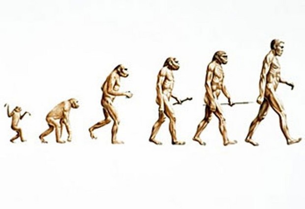 Does the Mormon Church accept the Theory of Evolution?