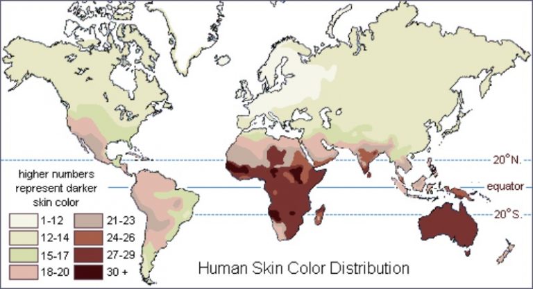 Where Did The Black Race Originate Did It Have Anything To Do With The   Black Skin Origin 768x417 