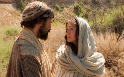 Wouldn’t Mary’s genealogy have been more important than Joseph’s in Matthew’s intro to the Savior’s ministry?