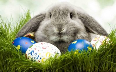 Why do we use a rabbit and eggs to celebrate the Resurrection of Christ?