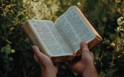 When did the Bible lose some of its plain and precious truths?