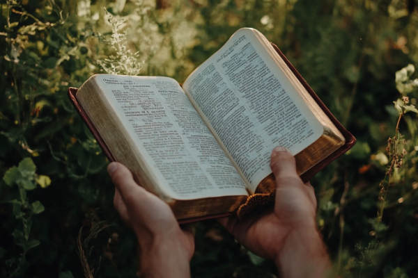 When did the Bible lose some of its plain and precious truths?