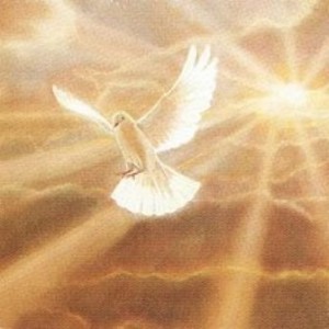 Holy Ghost as a dove