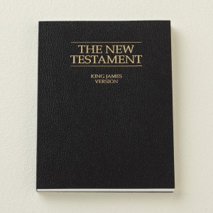 New Testament Mormon