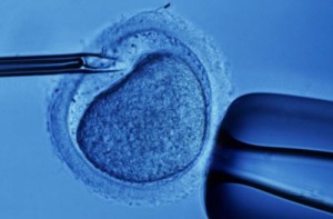 in-vitro-fertilization-2